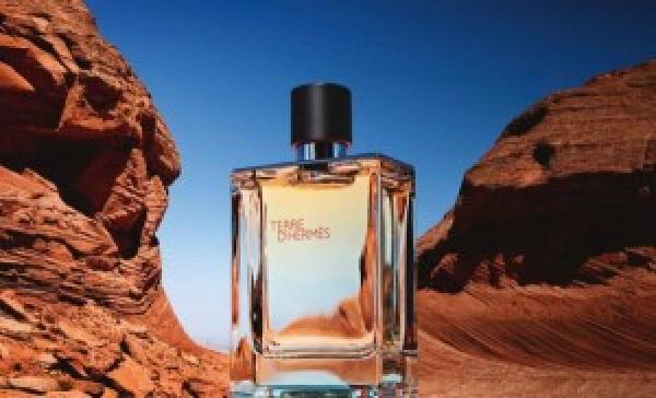 Hermes Paris Terre D Hermes EDT 100ML (431)