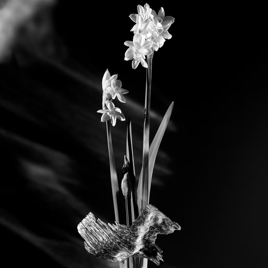 LV Matière Noire | 100ML